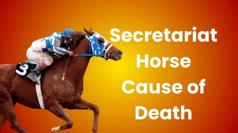 Secretariat Horse Cause of Death